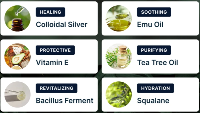 Dermafix Nail Fungus Treatment Gel Ingredients