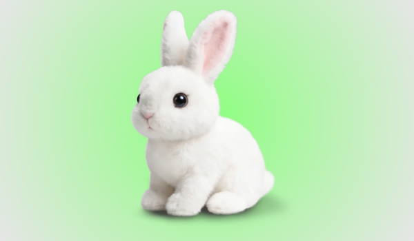 Hoppsy Robot Bunny Reviews
